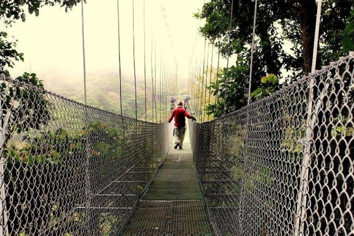 Hanging Bridge